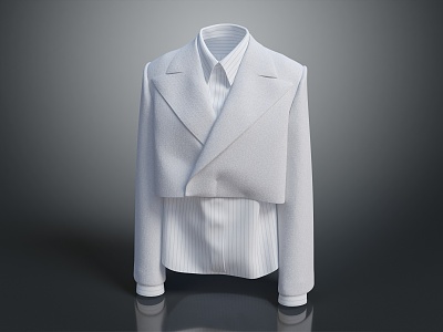 Modern Clothes Professional suit Office suit Female Office Clothes Female Office suit 3d model