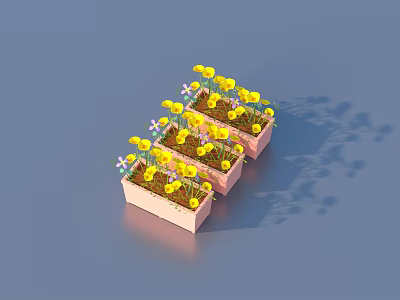 Pink Flower Pots With Yellow Flowers And Small White Blooms On Blue Surface 3d model