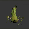 modern mantis sabros winged insect 3d model