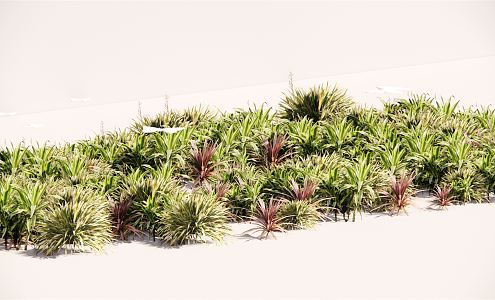 modern shrub flower border plant cluster 3d model