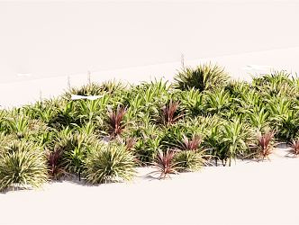 modern shrub flower border plant cluster 3d model