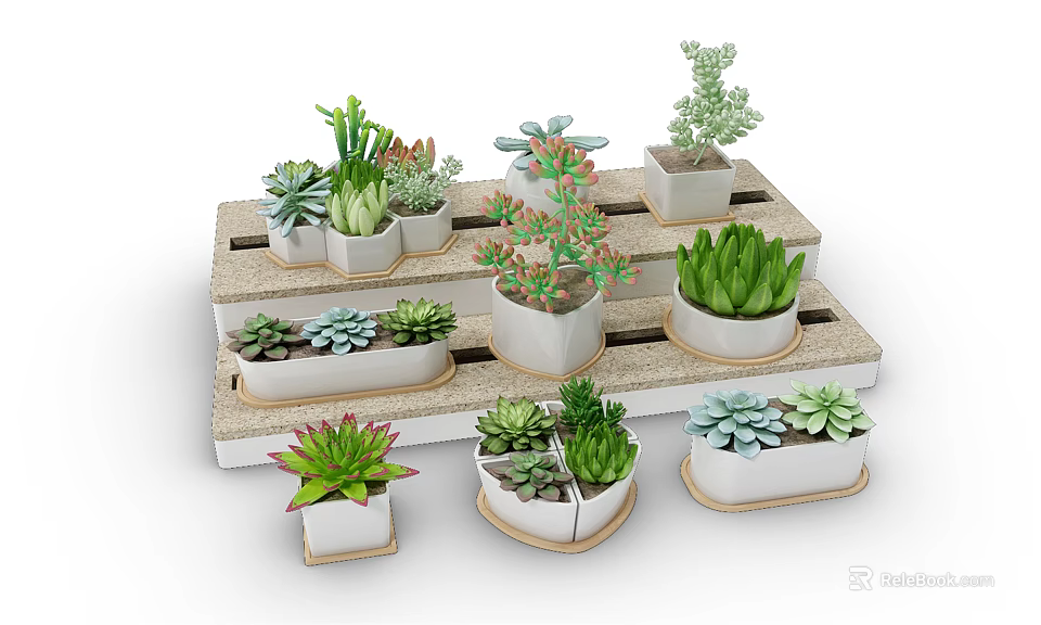 Various Bonsai Potted Plants on Layered Wooden Shelf with White Pots and Succulents 3d model 
