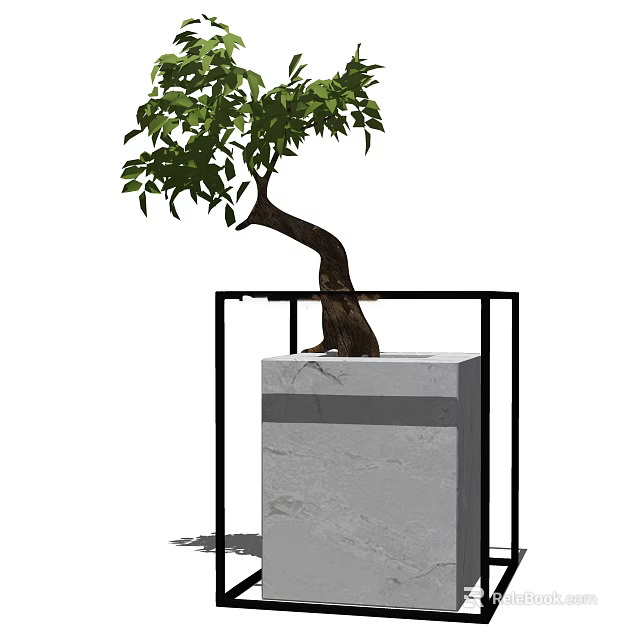 Bonsai Plant With Curved Trunk Green Leaves On Gray Marble Base And Black Frame 3d model 