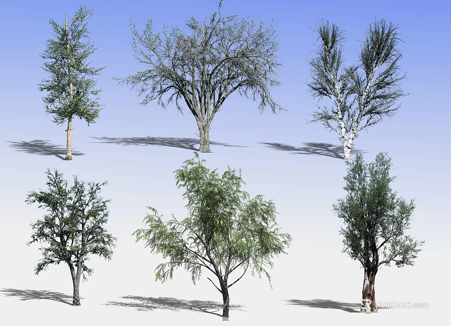 Various Types of Arbor Trees with Diverse Foliage and Shapes on Blue Background 3d model 