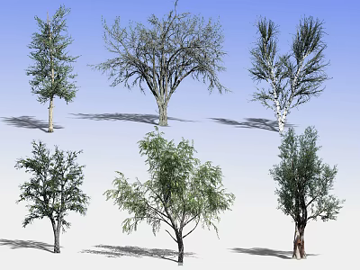 Various Types of Arbor Trees with Diverse Foliage and Shapes on Blue Background 3d model