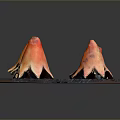 Six Orange Red Petal Shaped Items Arranged On Black Square Tray