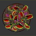 Venus flytrap plant in red pot with green leaves yellow spines and red interior against dark background