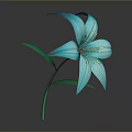 Blue Lily Plant with Green Stem and Leaves on Dark Background with Reflection