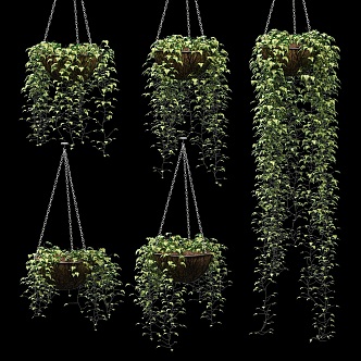 Modern Plant Hanging Basket Combination Modern Plant Green Plant Decorative Hanging Basket Greening 3d model