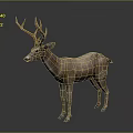Realistic Deer 3D Model With Brown Fur And Antlers In Standing Pose