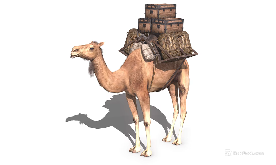 Brown Camel Carrying Stacked Heavy Wooden Boxes On Its Back 3d model 