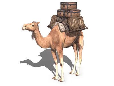 Brown Camel Carrying Stacked Heavy Wooden Boxes On Its Back 3d model