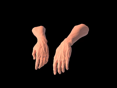 Human Hands 3D Anatomical Model With Detailed Skin Texture And Light Pink Tone 3d model