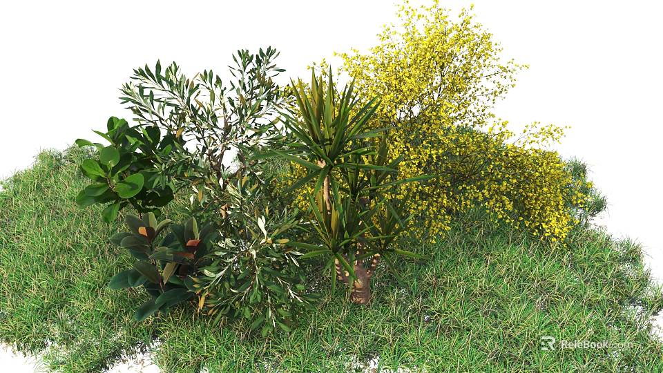 Various Garden Shrubs With Different Leaves And Yellow Flowers In Grass 3d model 