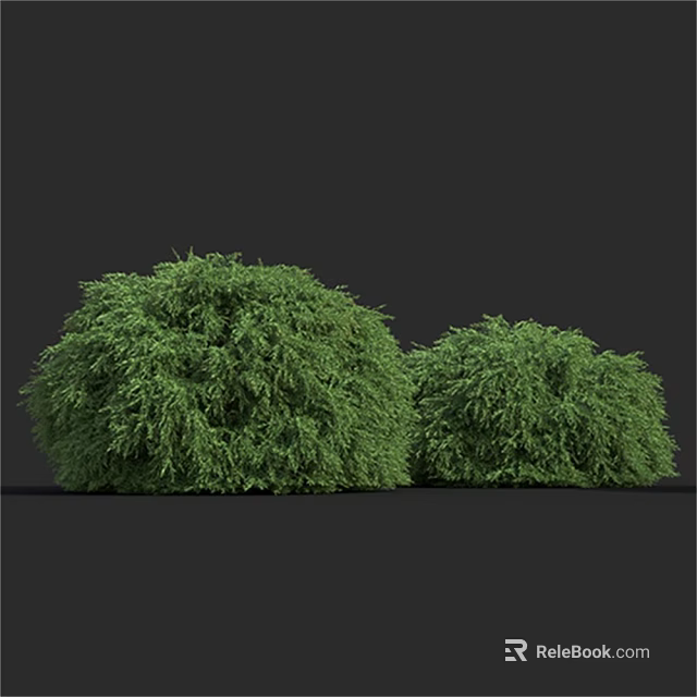 Two Green Round Shrubs with Lush Foliage in Garden Landscape 3d model 