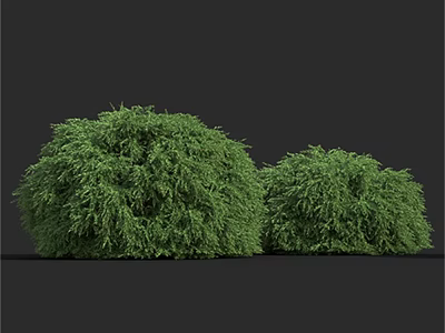 Two Green Round Shrubs with Lush Foliage in Garden Landscape 3d model