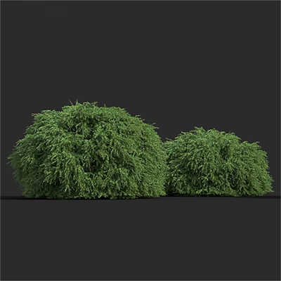 Two Green Round Shrubs with Lush Foliage in Garden Landscape 3d model