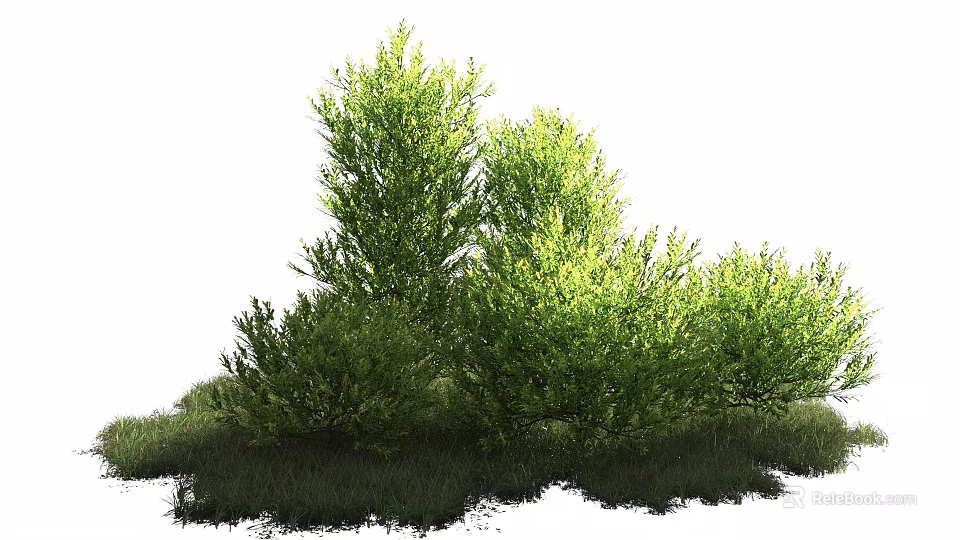 Green Shrubs With Lush Leaves And Various Heights For Garden Landscaping 3d model 