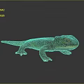 Shiny Purple Yellow Gecko With Red Eyes On Gray Background Surface Reflection