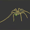 Realistic Gray Spider 3D Model With Detailed Legs And Smooth Surface