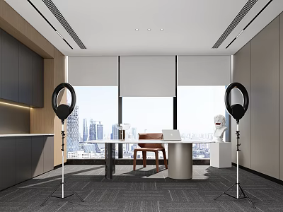 Modern Public Office Space Interior With Desk Chair Ring Lights And City View 3d model