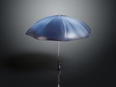 Stylish Blue Umbrella Foldable Design With Metallic Handle Shiny Canopy For Daily Use 3d model
