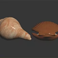 Light Brown Spiral Conch and Orange Red Striped Scallop on Black Background with Reflections