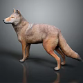 Realistic Wolf 3D Model Standing In Side View With Dark Background And Reflection 3d model