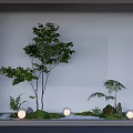 Serene Indoor Landscape With Green Trees Ferns Stones And Decorative Lights