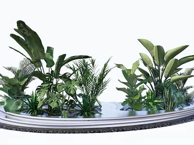 Assorted Lush Green Plants Arrangement On Circular Platform With Tropical Leaves 3d model