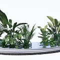 Assorted Lush Green Plants Arrangement On Circular Platform With Tropical Leaves