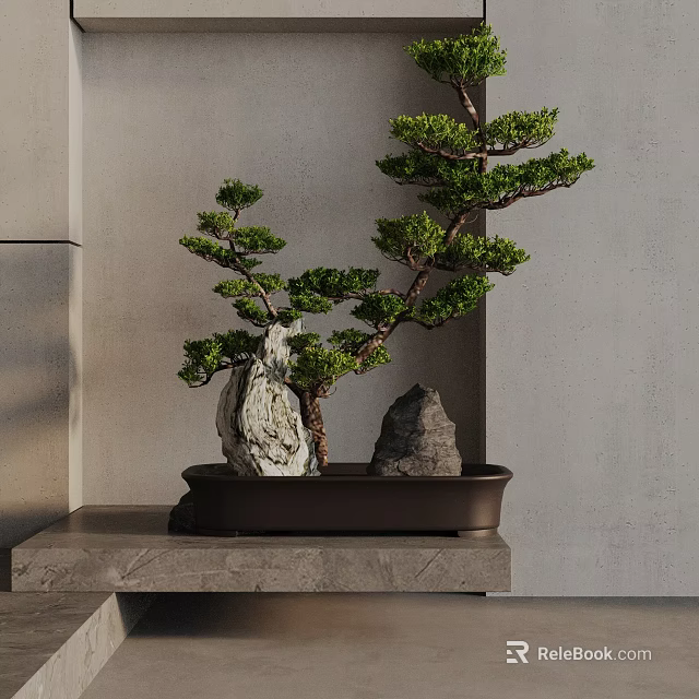 Bonsai Tree with Decorative Rocks on Gray Stone Platform Against Gray Wall 3d model
