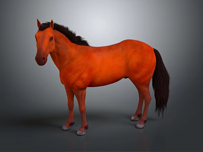 Orange Horse with Brown Mane and Tail Standing Against Gray Background 3d model