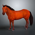 Orange Horse with Brown Mane and Tail Standing Against Gray Background 3d model