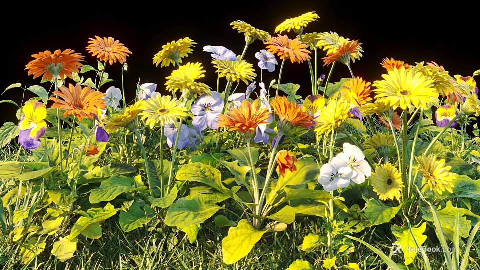 Vibrant Colorful Flowers With Orange Yellow Purple White Blooms And Green Leaves In Garden 3d model 