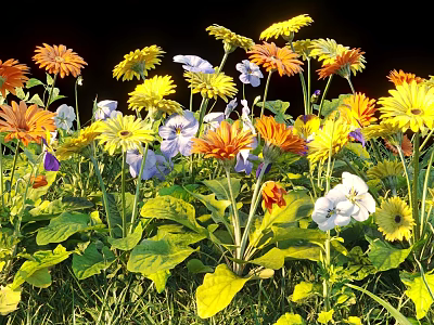 Vibrant Colorful Flowers With Orange Yellow Purple White Blooms And Green Leaves In Garden 3d model