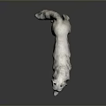 White Standing Wolf Sculpture on Dark Background with Reflective Surface 3d model