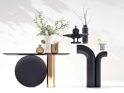 Modern Black Entryway Cabinet and Side Cabinet with Decorative Vases Plants Ornaments 3d model