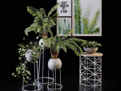 Stylish Potted Plants With Green Ferns Trailing Vines Gray Pots And Geometric Metal Stands 3d model
