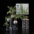 Stylish Potted Plants With Green Ferns Trailing Vines Gray Pots And Geometric Metal Stands