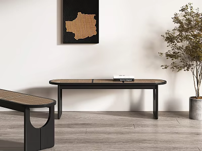 Modern Rattan Bench With Black Frame In Stylish Living Room Interior With Potted Plant 3d model