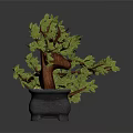 Bonsai Plant With Green Leaves And Brown Trunk In Gray Pot With Small Stones