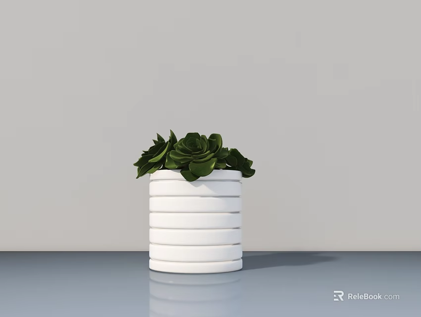 Potted Succulent Plant in White Striped Pot on Blue Tabletop Against Gray Wall 3d model 