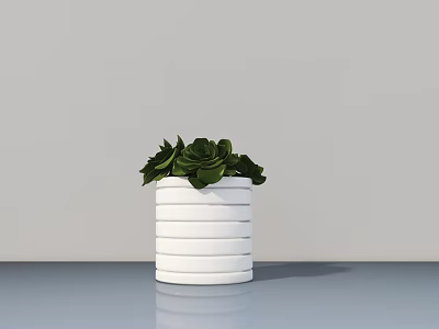 Potted Succulent Plant in White Striped Pot on Blue Tabletop Against Gray Wall 3d model