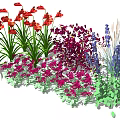 Colorful Garden Flowers Featuring Red Purple Blue Blooms And Green Foliage