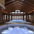 Relaxing Shower Sauna Spa With Vaulted Wooden Ceiling And Circular Hot Tub
