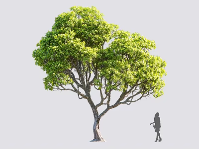 Arbor With Lush Green Leaves And Human Silhouette In Outdoor Scene 3d model