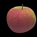 Modern Apple 3d model