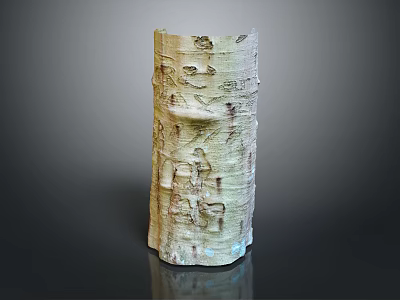 Natural Wood Textured Vase With Handcrafted Bark Pattern For Home Decorative Use 3d model