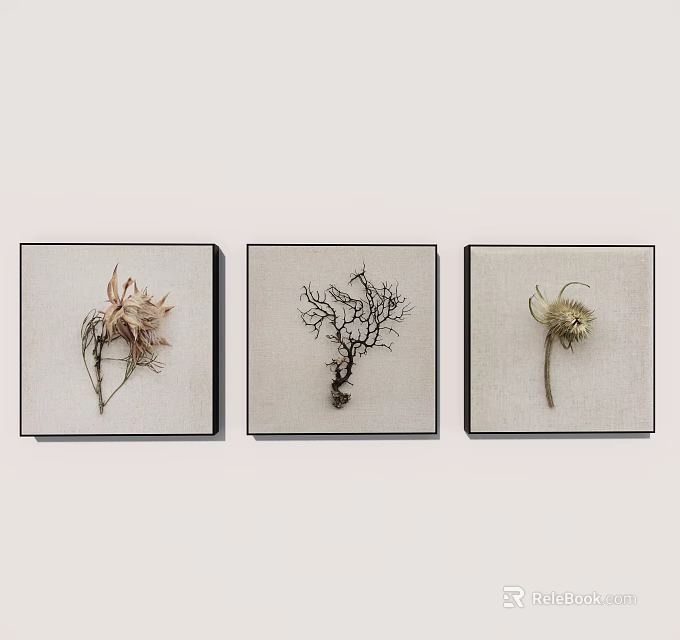 Three Panel Botanical Artworks With Dried Plant Specimens And Black Frames 3d model